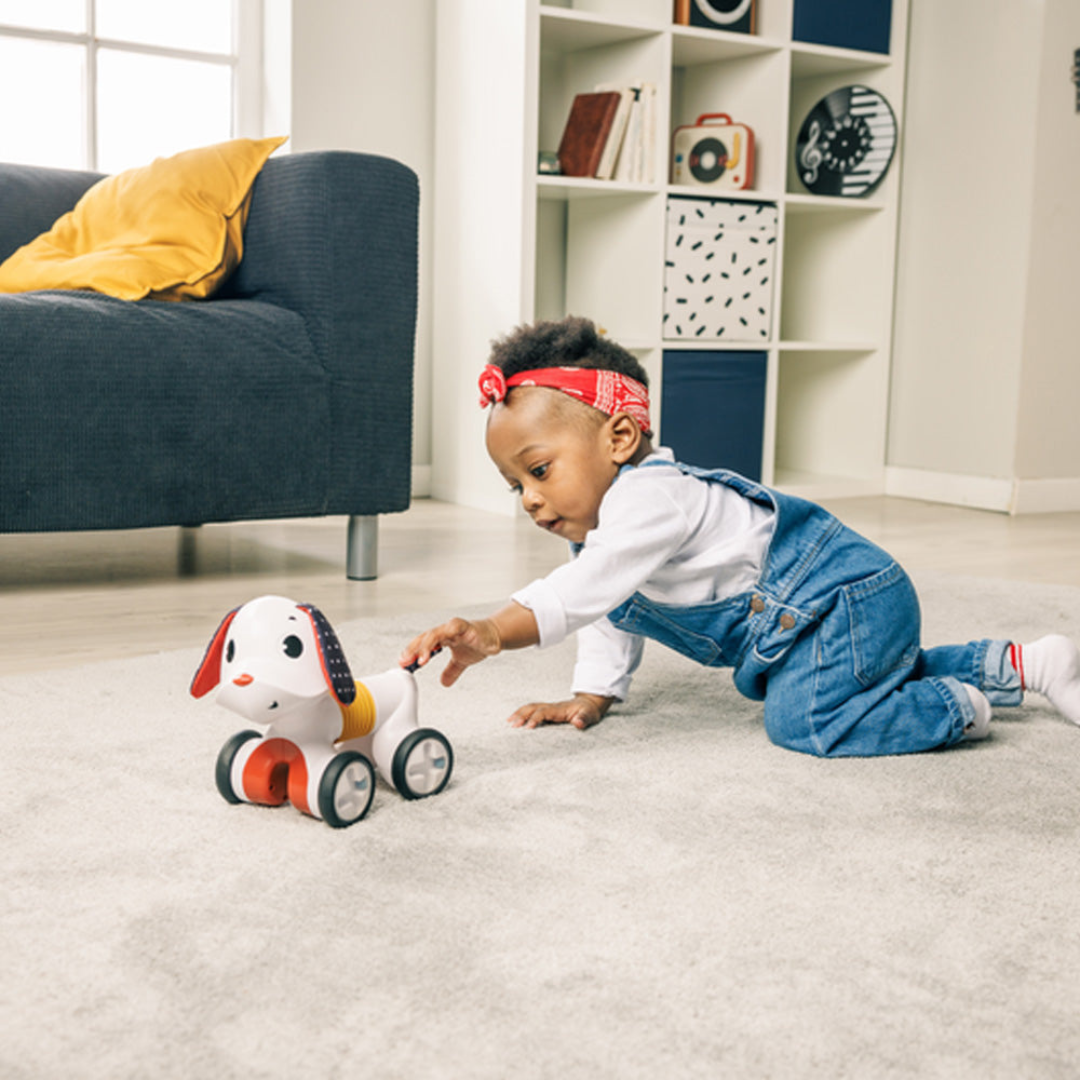 Rodador Perrito Follow Me Charlie | Tiny Love