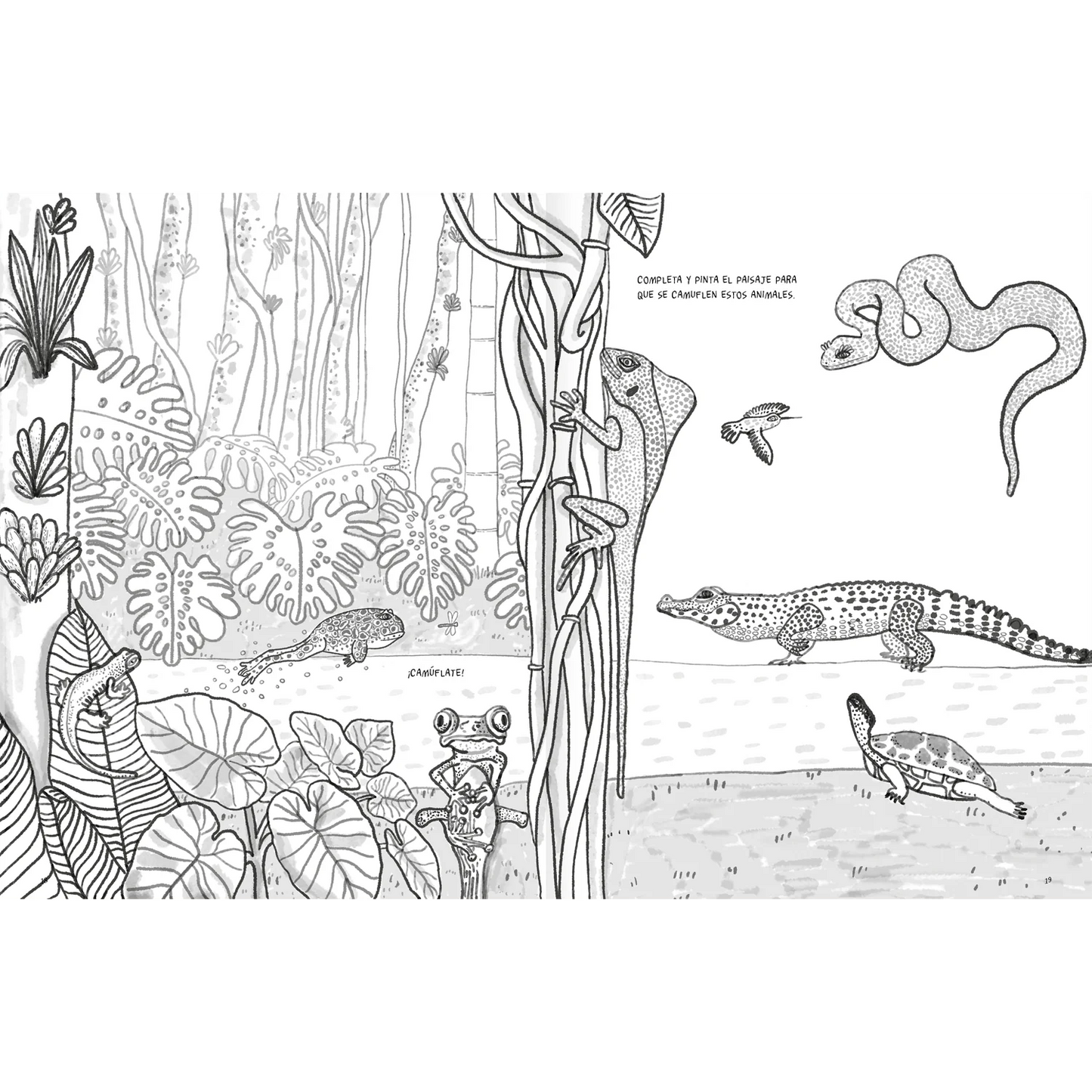 Anfibios y Reptiles, Bitácora para Imaginar