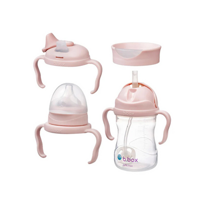 Set de Transición 4 en 1 - Blush | b.box