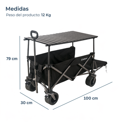 Carro de Arrastre 3 en 1 Outdoor - Negro | Bebesit
