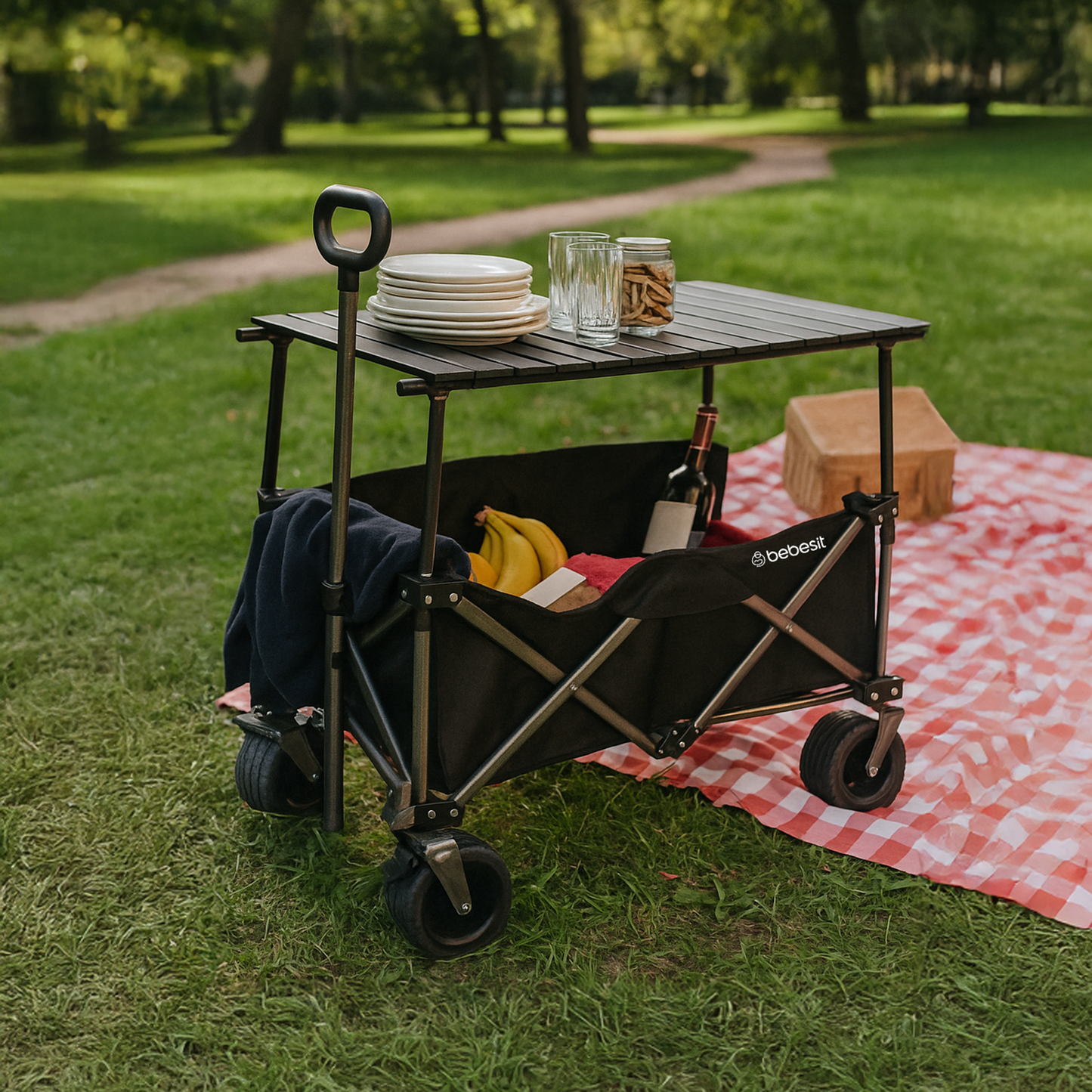 Carro de Arrastre 3 en 1 Outdoor - Negro | Bebesit