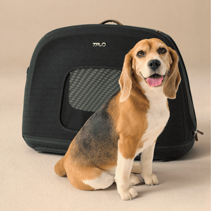 Transportador de Viaje para Mascotas Crispin™ con ISOFIX – Onyx | Tavo Pets