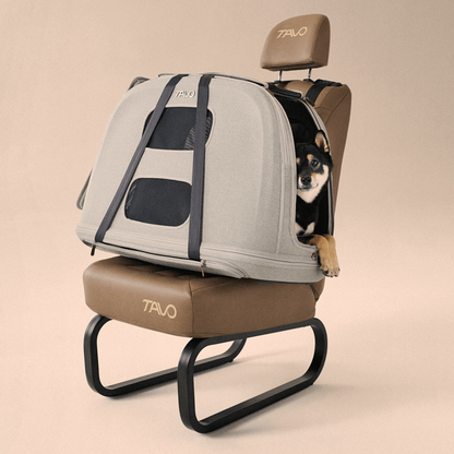 Transportador de Viaje para Mascotas Crispin™ con ISOFIX – Onyx | Tavo Pets