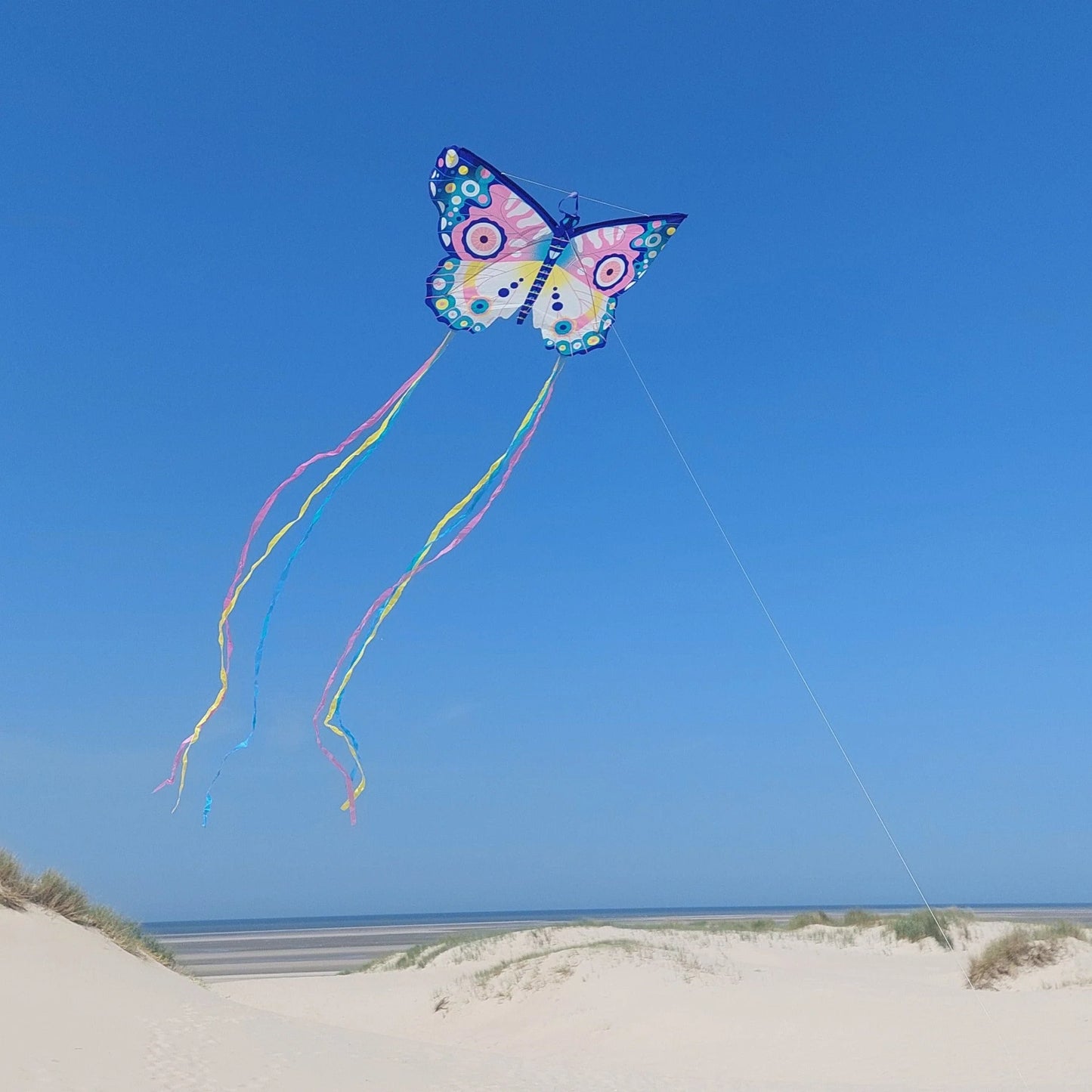 Volantín Maxi - Mariposa | Djeco