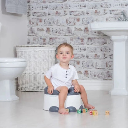 Step 'n Potty 3 in 1 - Mint 