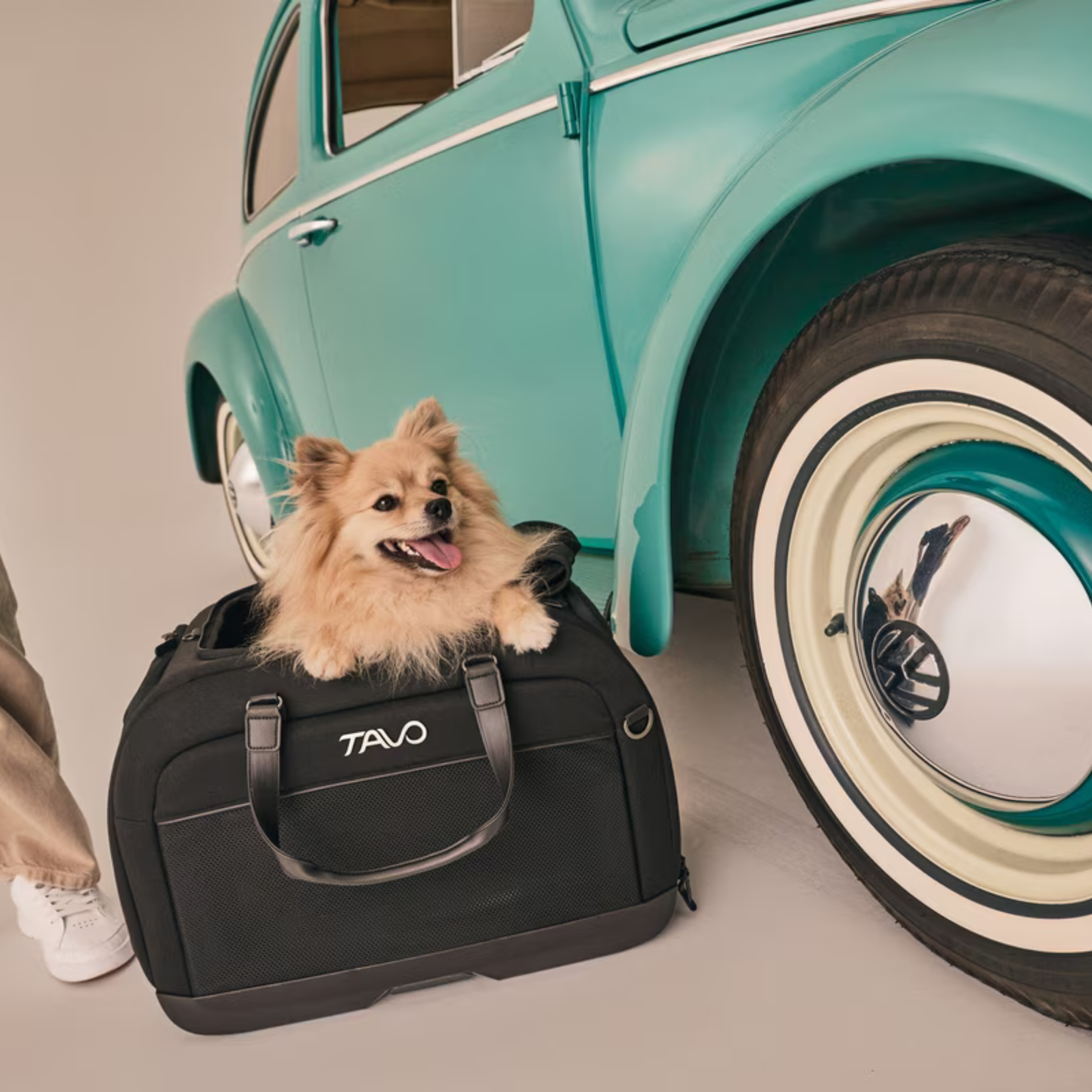 Transportador y Silla de Auto para Mascotas Hendrick™ - Onyx | Tavo Pets