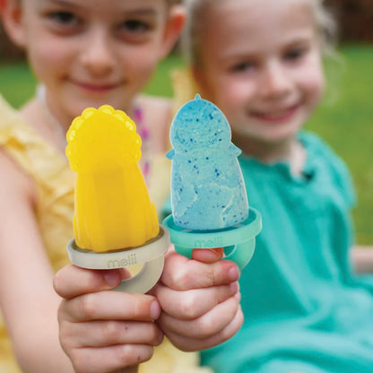 Pack de 6 Moldes para Paletas de Helado