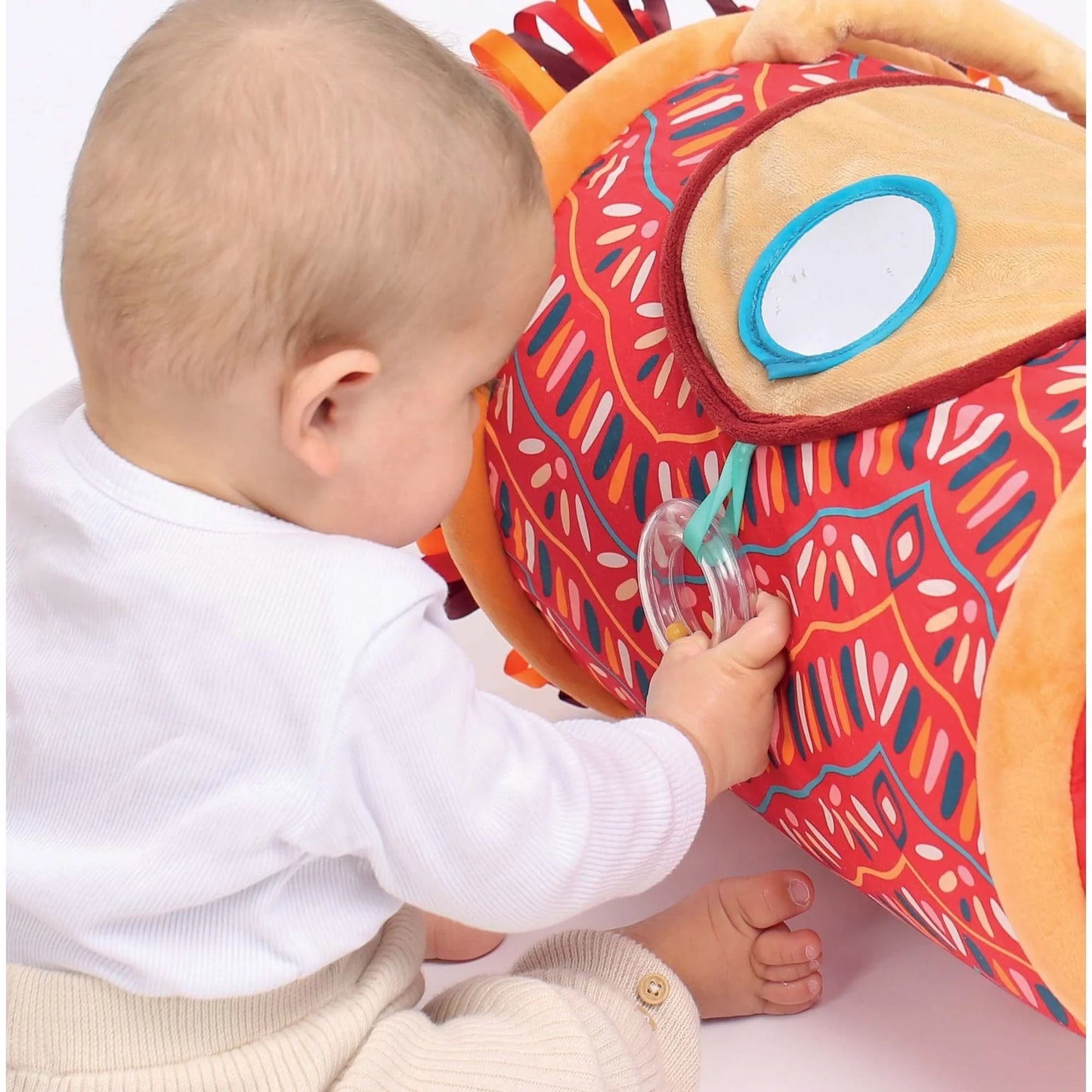 Rodillo de Actividades - León | Ludi