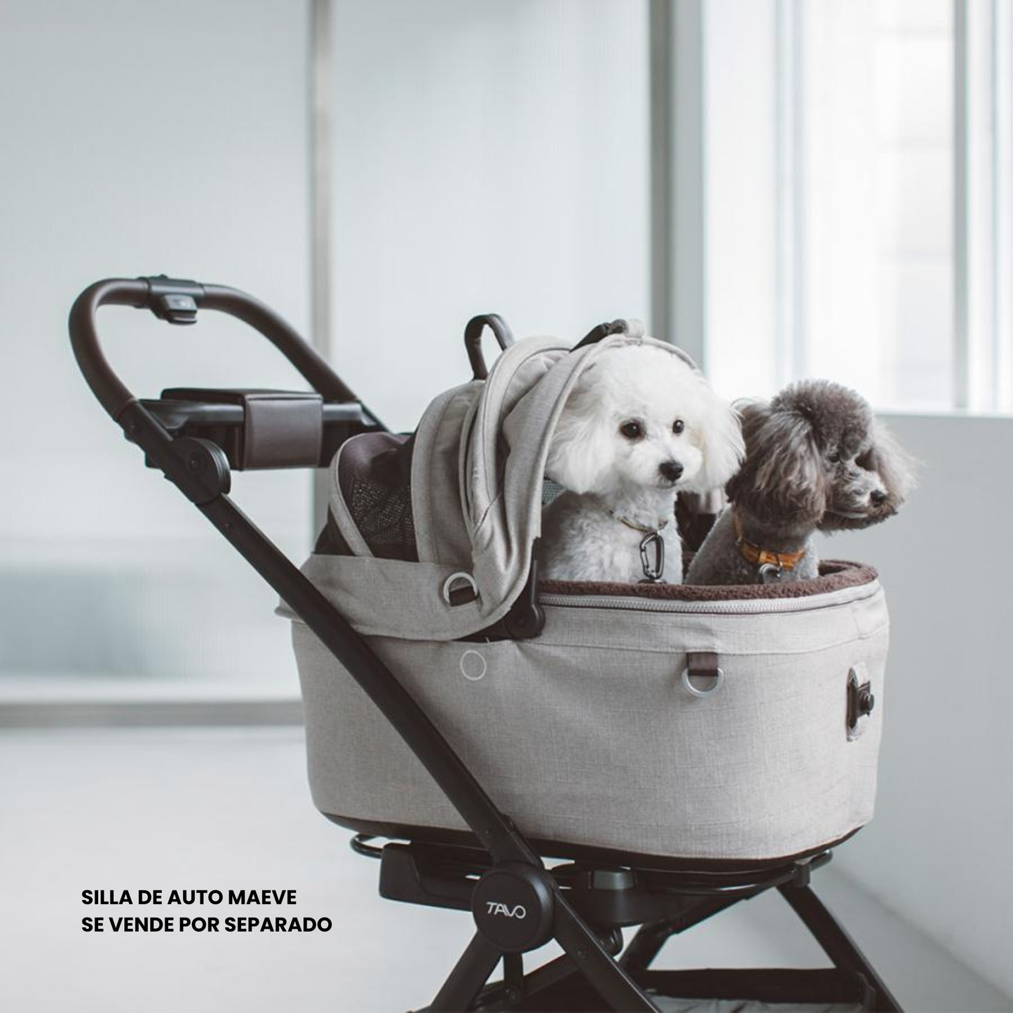 Chasis de Coche para Mascotas Roscoe™ | Tavo Pets