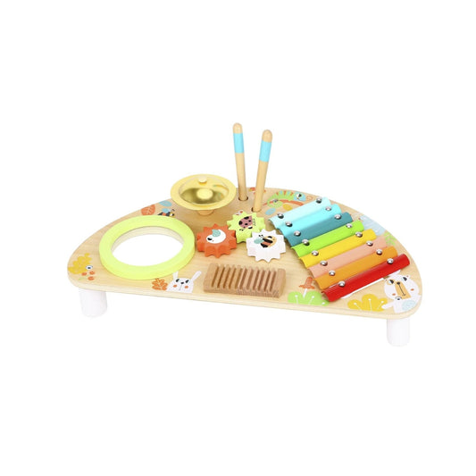 Centro Musical Multifuncional | Tooky Toy