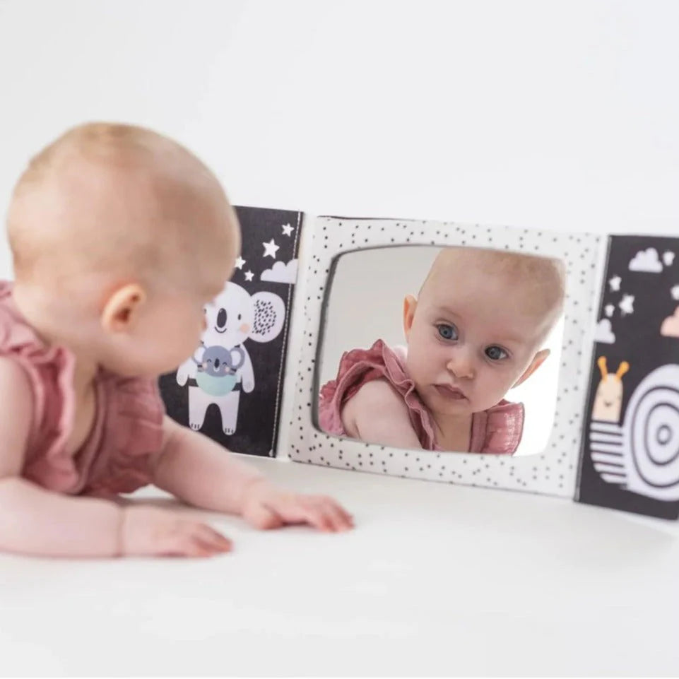Libro y Espejo Blanco y Negro Tummy Time | Taf Toys