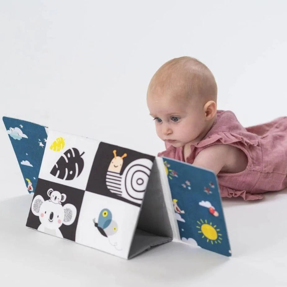 Libro y Espejo Blanco y Negro Tummy Time | Taf Toys